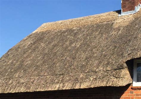 Thatching Process: How I Guarantee A Top Quality Job | Allsop Thatching