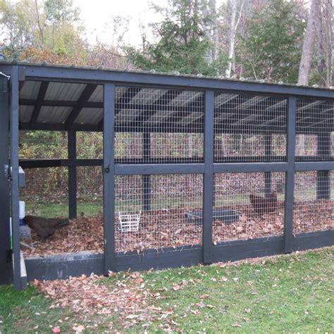 Large Chicken Run Ideas