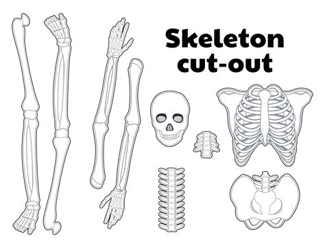 Free Printable Skeleton Template Cut Out