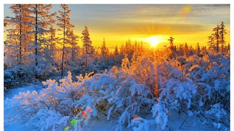 Winter Sunrise Nature Wallpapers - Top Free Winter Sunrise Nature ...