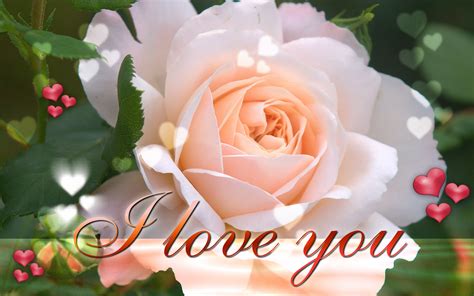 Love Wallpapers Hot Picures: Beautiful Love Wallpapers