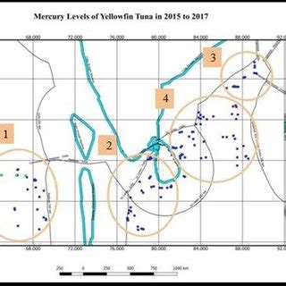 Mercury Levels of Swordfish | Download Scientific Diagram