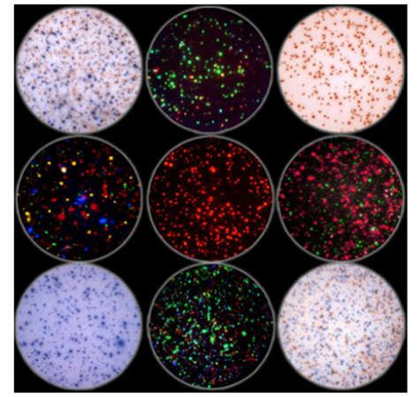 ELISA, Multiplex, and Flow Cytometry Testing - Pharmaceutical Business ...