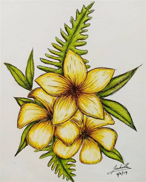 Yellow Flowers | Pencil drawings of flowers, Pencil colour painting ...