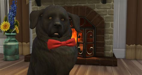 The Sims 4: Cats & Dogs Review - Sims Online