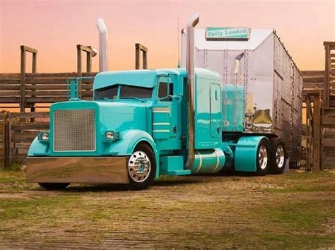 Peterbilt | Trucks, Custom trucks, Peterbilt