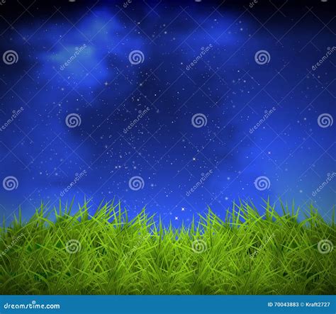 Grass on a Background of Night Sky Stock Vector - Illustration of blue ...