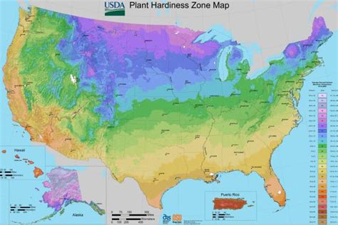 Plant Hardiness Zones | HGTV