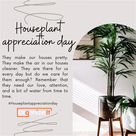 Houseplant Appreciation Day - Organize It | Cleaning | Organizing ...