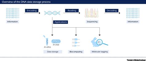 Novel Modalities in DNA Data Storage: Trends in Biotechnology