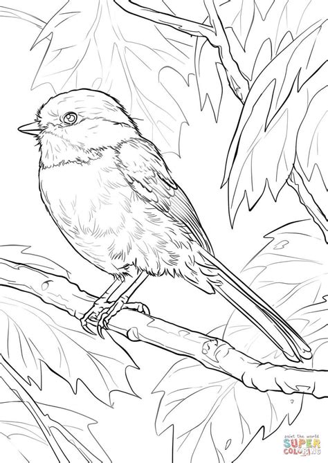 Black Capped Chickadee Coloring Page - Scenery Mountains