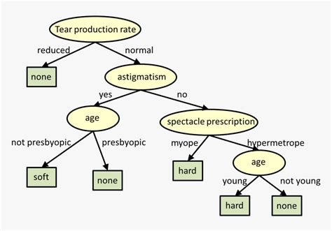 Decision Tree Pruning, HD Png Download - kindpng