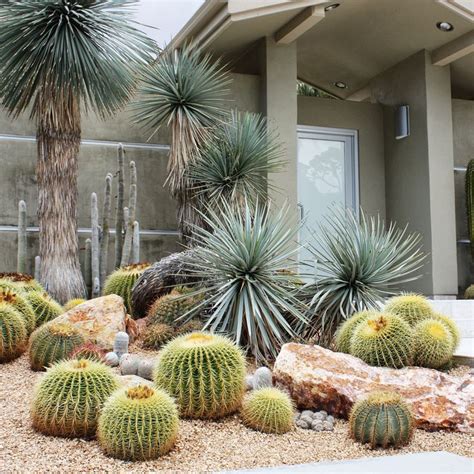 9 Ways to Design with Cactus | Desert garden, Front yard decor, Desert ...