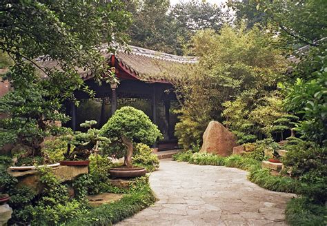 Chinese Garden Plants – How To Create A Chinese Garden Style