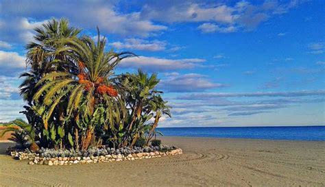 Estepona Beaches