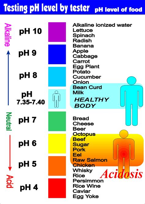 Alkaline Range of Ph Scale - LennonecGibson