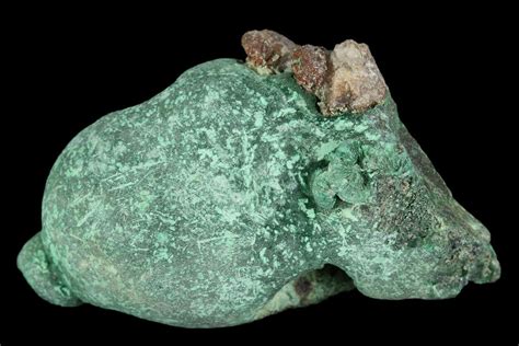 1.3" Botryoidal Malachite Formation - Mexico (#126972) For Sale ...