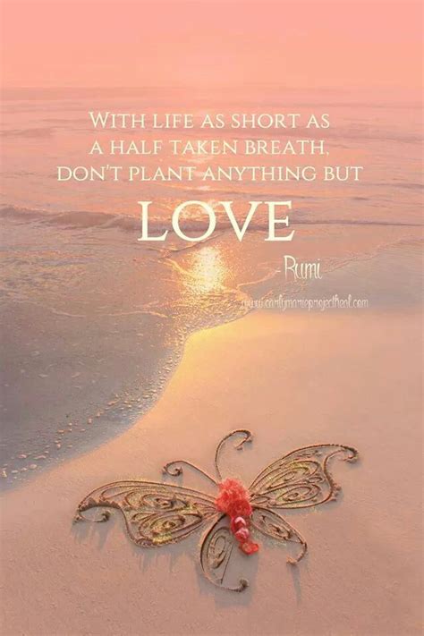 Rumi Quotes True Love. QuotesGram