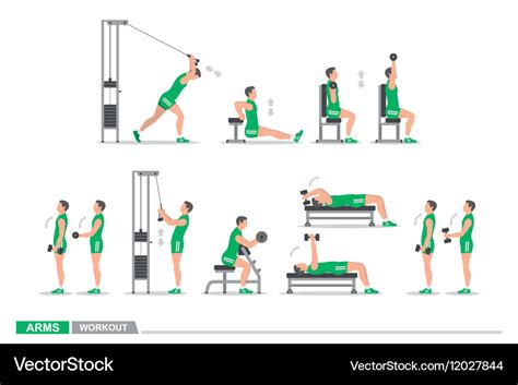 Set of workout for arms Royalty Free Vector Image