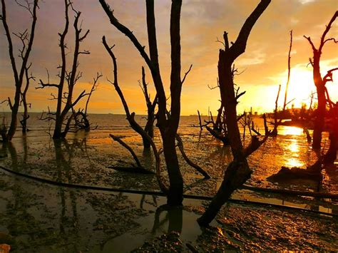 SUNSET di PAYA BAKAU, PASIR PANJANG 2018