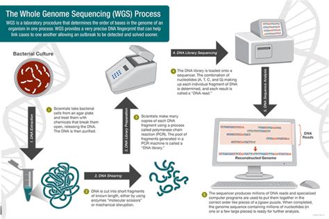 Whole Genome Sequencing (WGS) as a Tool for Hospital Surveillance