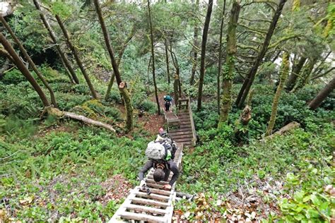 The Complete Guide to Hike the West Coast Trail Canada - Stingy Nomads