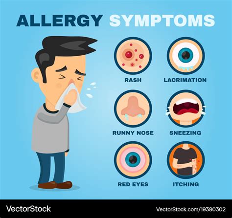 Allergy symptoms problem infographic Royalty Free Vector