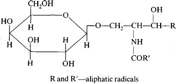 Cerebroside Structure