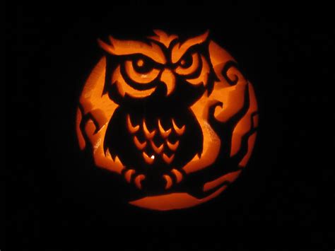 Pumpkin Carving Owl Templates