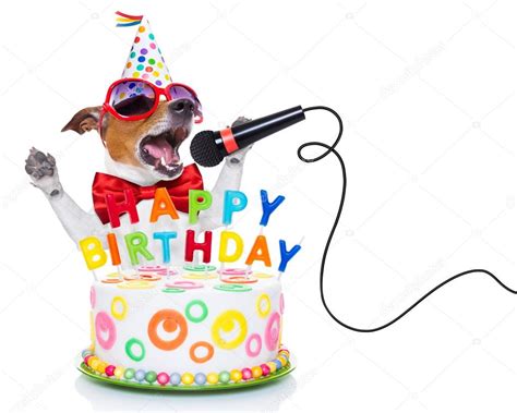 Happy birthday dog Stock Photo by ©damedeeso 72790263