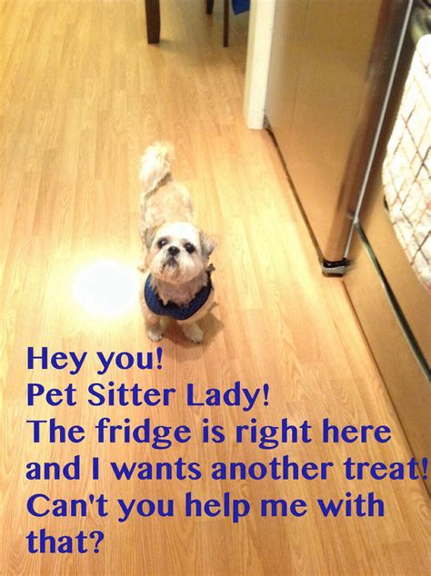 This is so true! happens all the time... #petsitters # ...