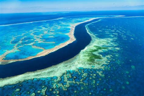 The Great Barrier Reef, Australia: The world's largest coral reef system