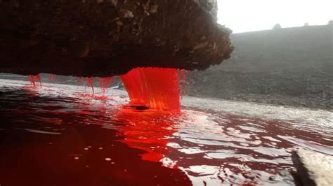 Cientistas resolveram o mistério das cachoeiras de sangue da Antártida ...