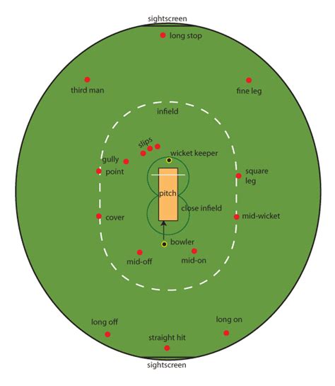 Cricket Field - Indoor Cricket and Outdoor Cricket Photo (29908930 ...