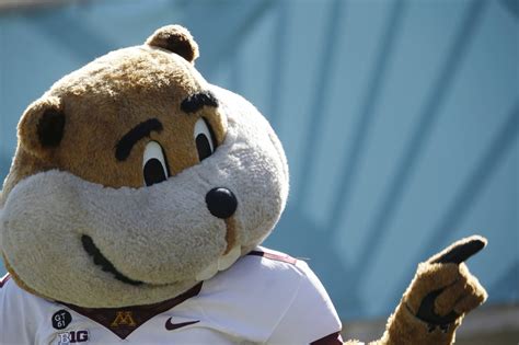 Watch: Goldy Gopher steamrolls youth footballer | MPR News