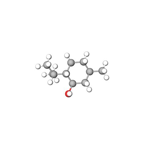 menthol (model) - Tisserand Institute