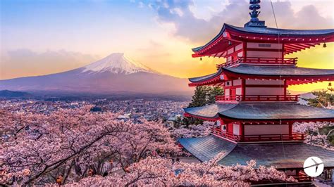 15 Zoom backgrounds to put you in the moment | Expedia | Japan travel ...