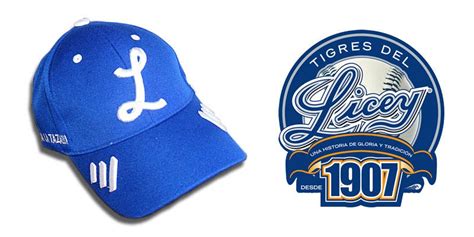 Unleash the Licey Tigers. A Dominican Local Reveals Baseball’s… | by ...