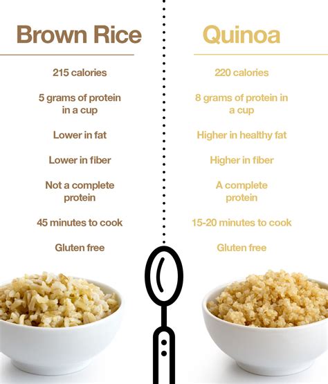 Is Quinoa a Complete Protein: May Be the Missing Link in Your Diet ...