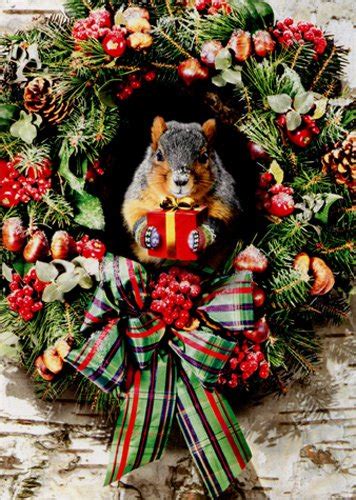 Squirrel Christmas Cards | Kritters in the Mailbox | Squirrel Christmas ...