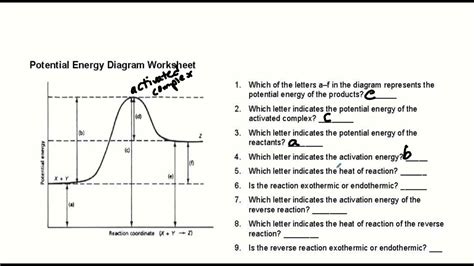 Potential Energy Diagrams - YouTube