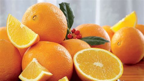 Delivering Fresh Oranges From Florida – The Groves