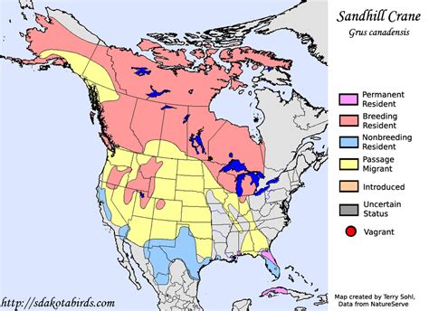 Sandhill Crane Habitat