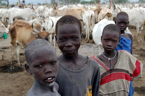 Dinka Tribe Of Sudan: Where Men Adopts Ox-names - Culture - Nigeria