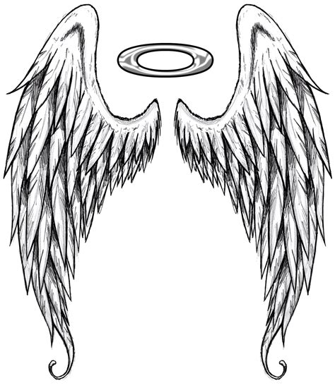 angel wings drawing png - Ara Poston