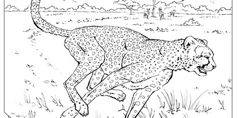 Printable Coloring Pages Of Wild Animals