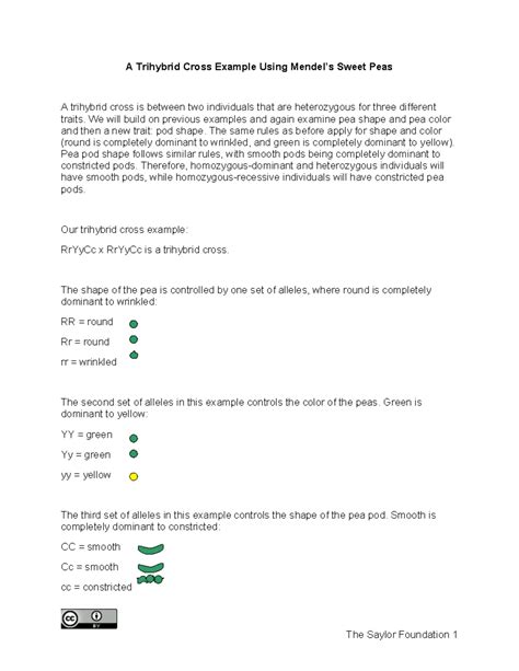 A Trihybrid Cross Example Using Mendel’s Sweet Peas - A Trihybrid Cross ...