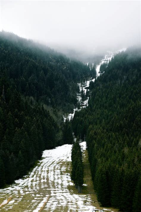 A snowy mountain slope with trees and snow · Free Stock Photo