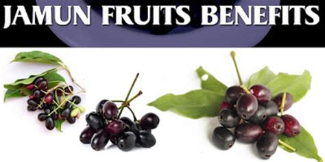 How Java Plum Helps To Diabetes Patients to Relieve Pain