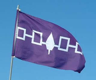 Greener Minds: The Iroquois Flag